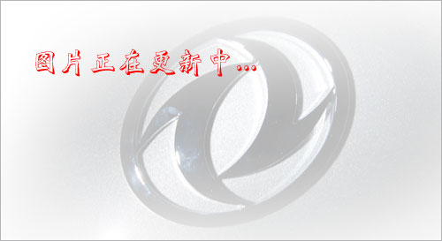 ʮ܇